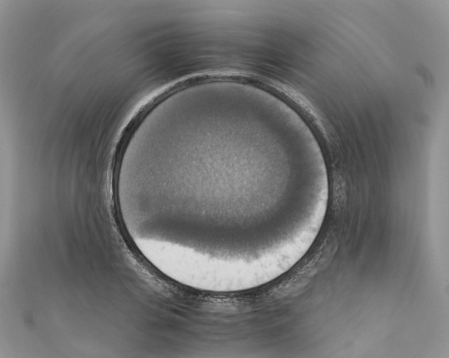 X0000110710935200907241143