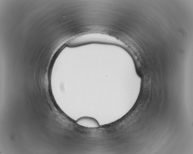 X0000110710936200907241143