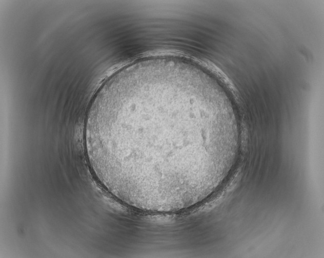 X0000110710937200907241143