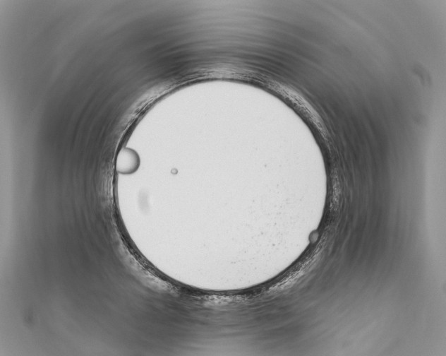 X0000110710938200907241143