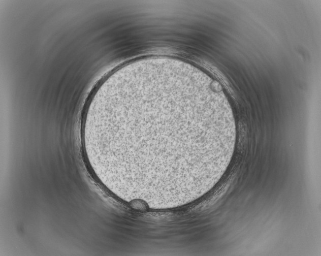 X0000110710939200907241143