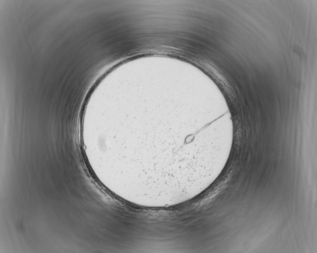 X0000110710940200907241143