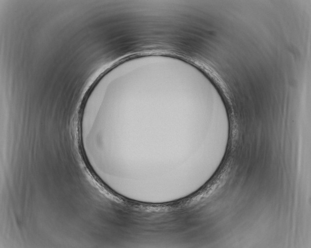 X0000110710941200907241143