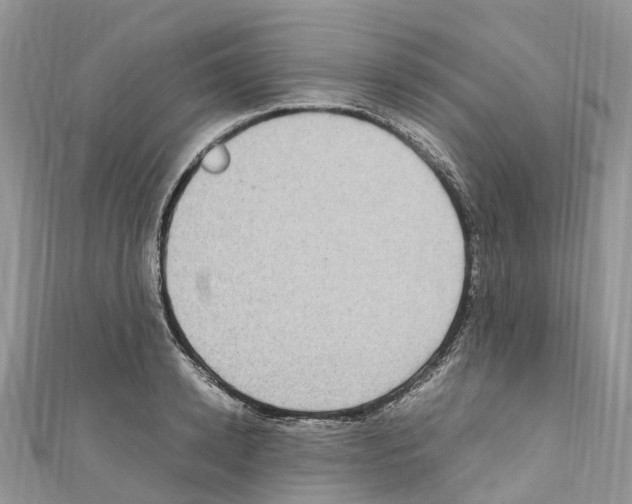 X0000110710942200907241143