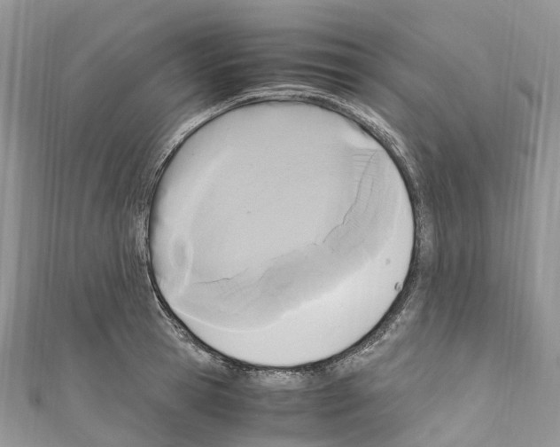 X0000110710945200907241143