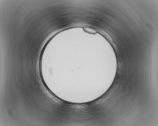 X0000110710947200907241143