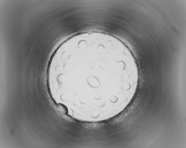 X0000110710949200907241143