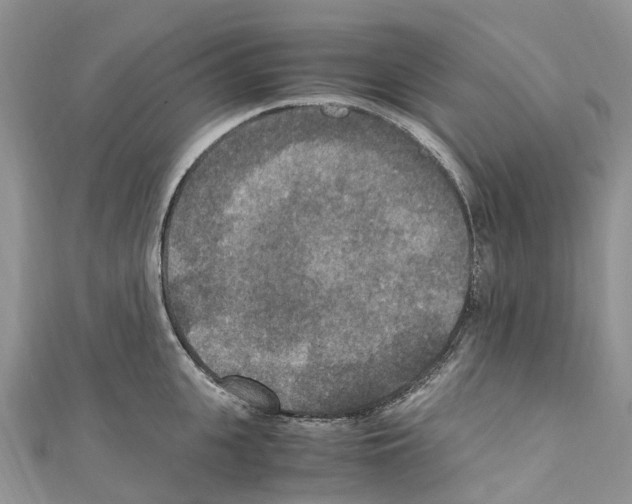 X0000110710951200907241143
