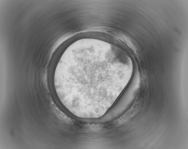 X0000110710952200907241143