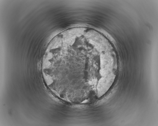 X0000110710953200907241143