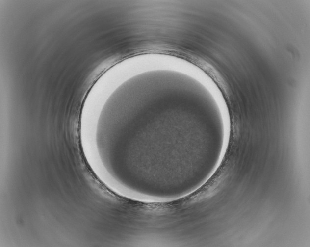 X0000110710954200907241143