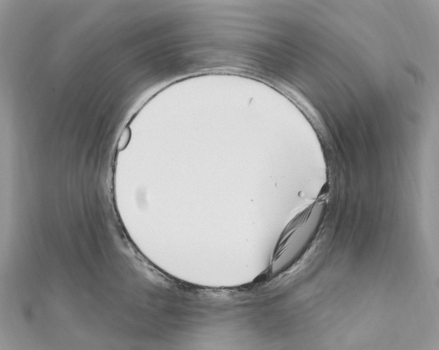 X0000110710956200907241143