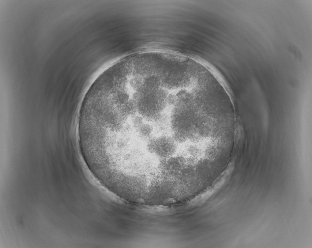 X0000110710957200907241143