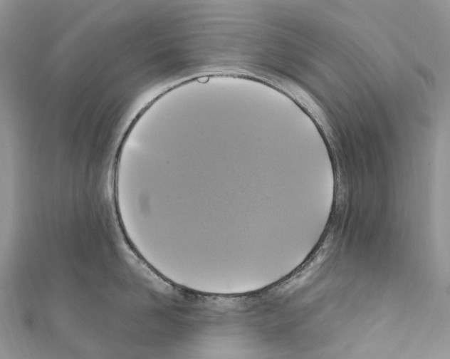 X0000110710958200907241143