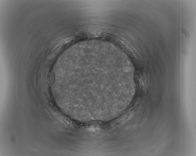 X0000110710961200907241142