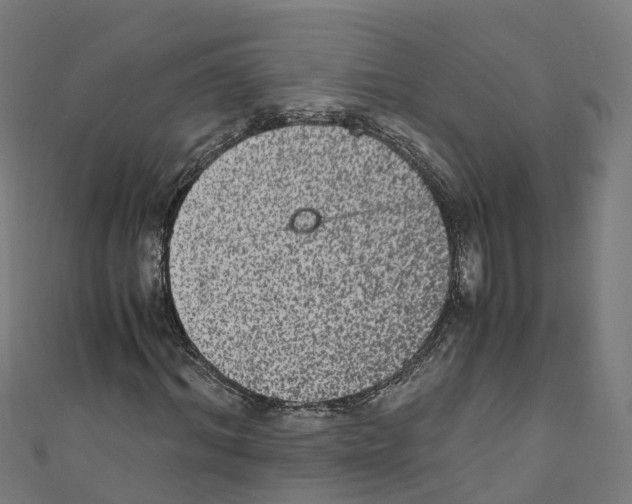 X0000110710964200907241142