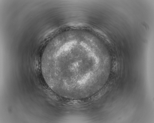 X0000110710966200907241142