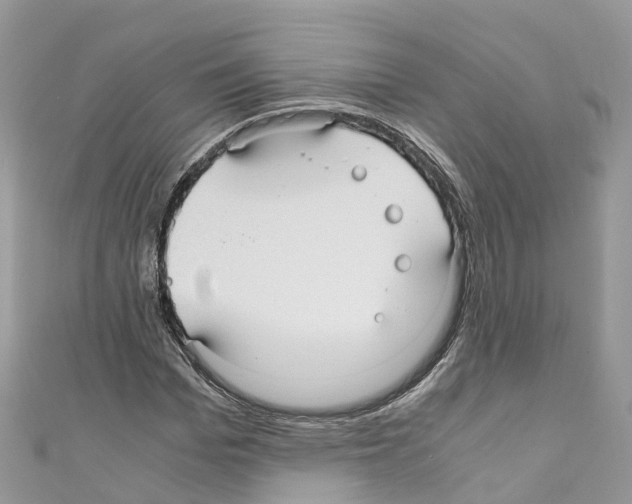 X0000110710969200907241142