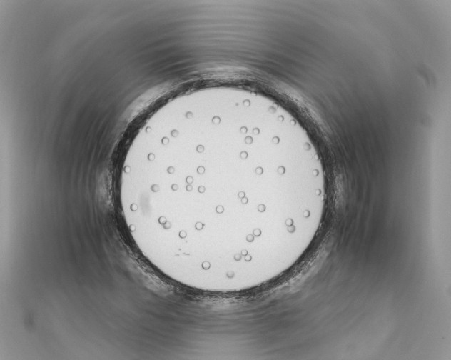 X0000110710970200907241142