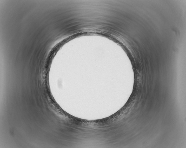 X0000110710971200907241142