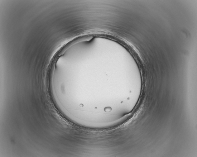 X0000110710973200907241142