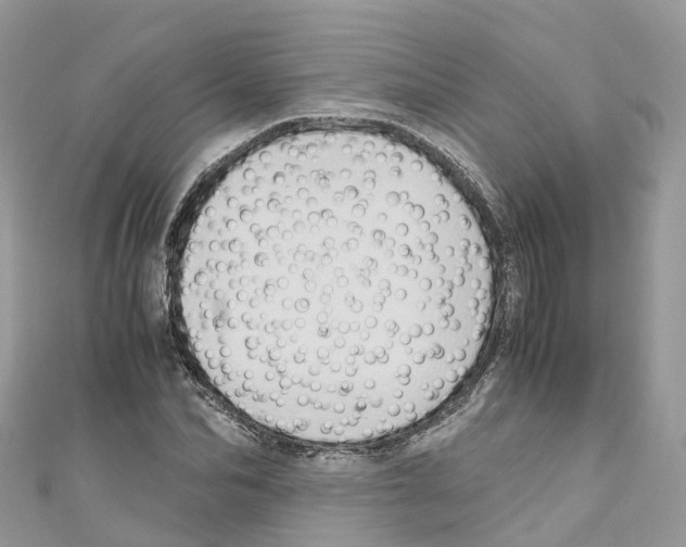 X0000110710974200907241142