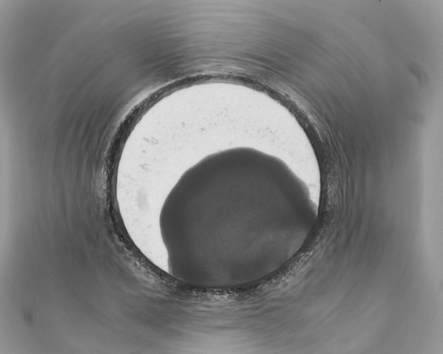X0000110710975200907241142