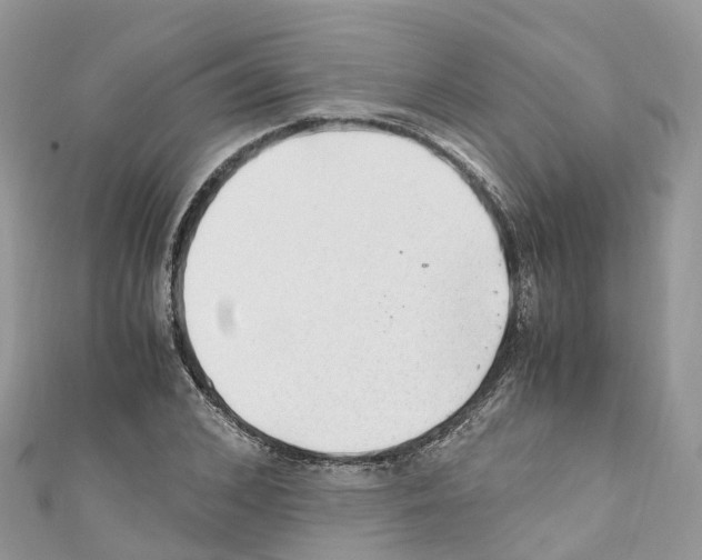 X0000110710976200907241142