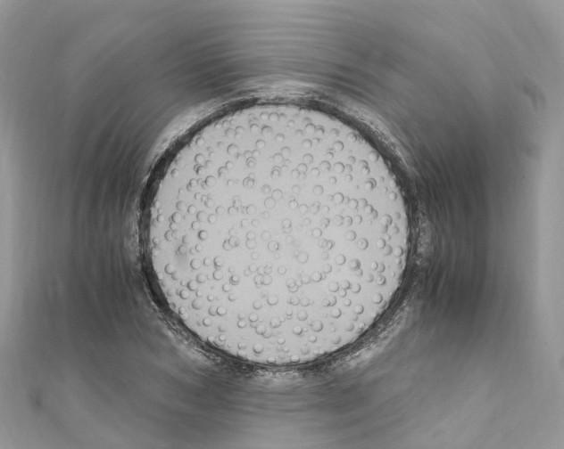 X0000110710978200907241142