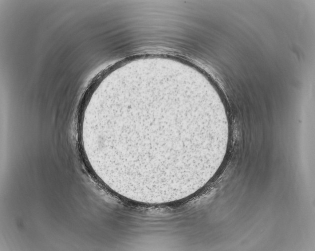 X0000110710979200907241142