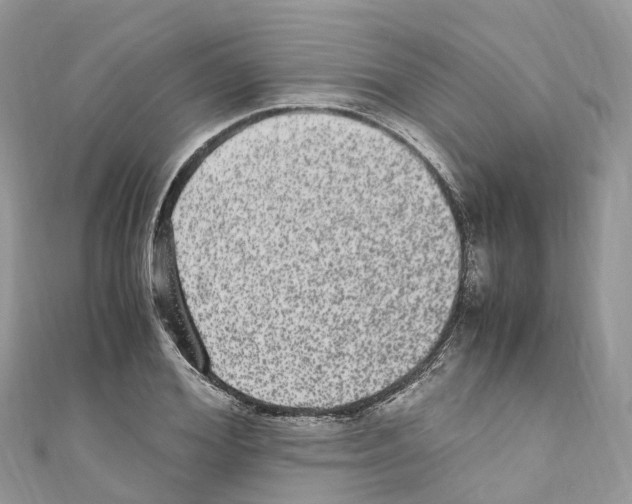 X0000110710980200907241142