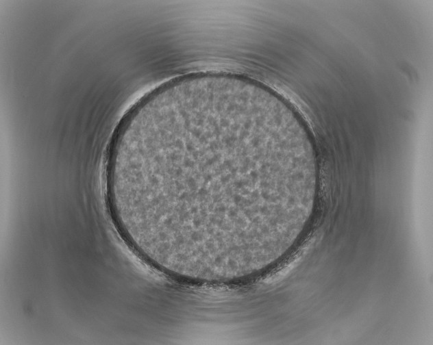X0000110710983200907241142