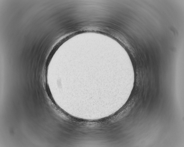 X0000110710984200907241142