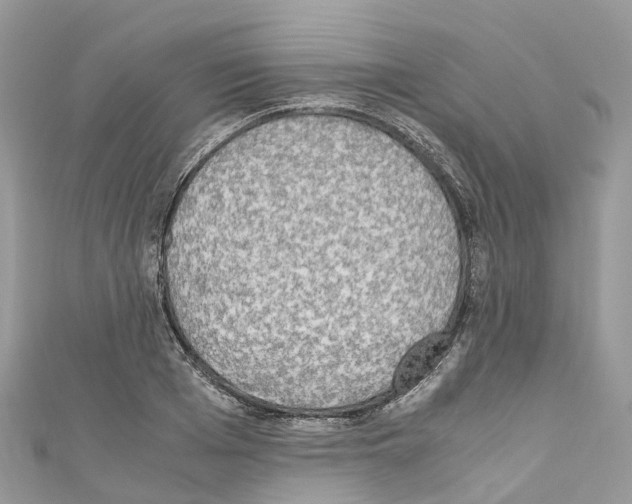 X0000110710985200907241142