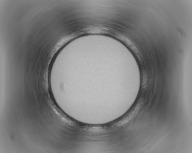 X0000110710986200907241142