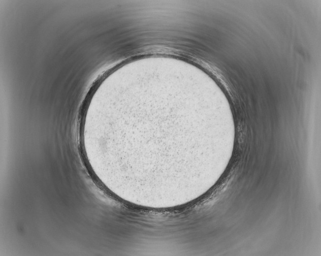 X0000110710987200907241142