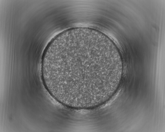 X0000110710992200907241142