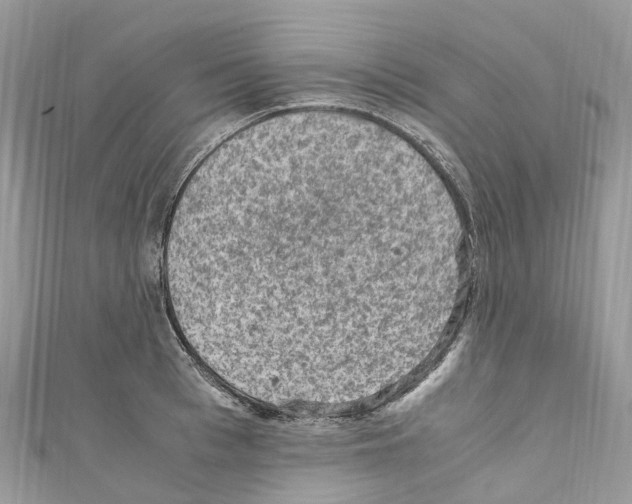 X0000110710993200907241142