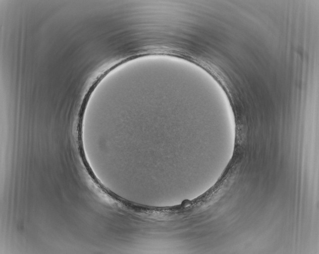 X0000110710995200907241142