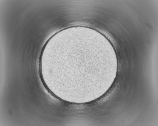 X0000110710999200907241142