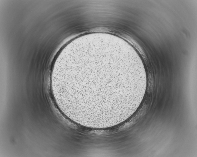 X0000110711000200907241142