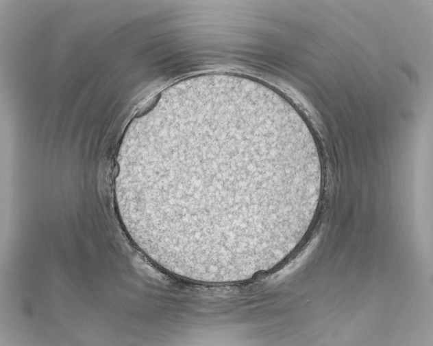 X0000110711001200907241142