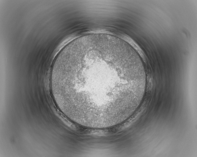 X0000110711002200907241142