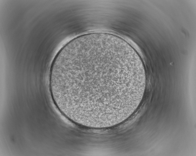 X0000110711005200907241142