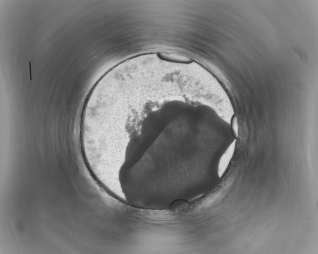 X0000110711007200907241142