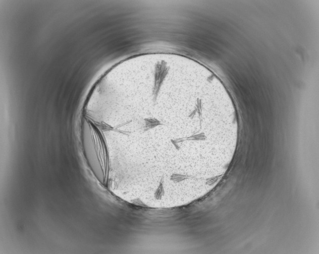 X0000110711008200907241142