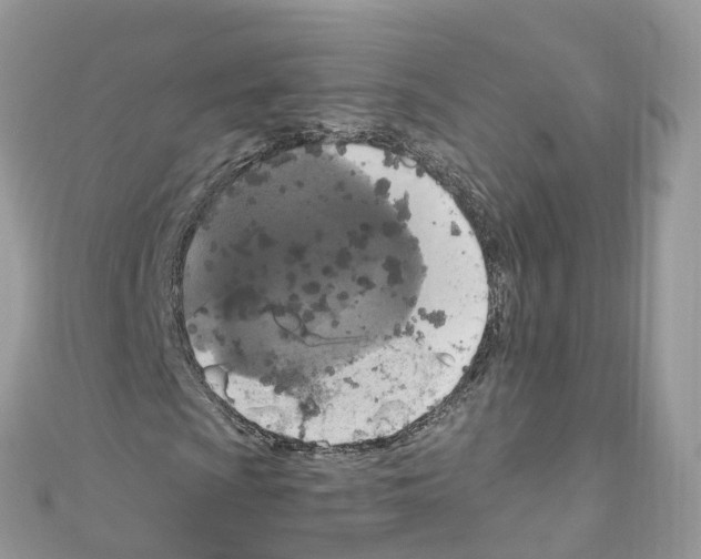 X0000110711009200907241141