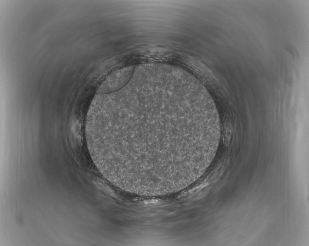 X0000110711010200907241141