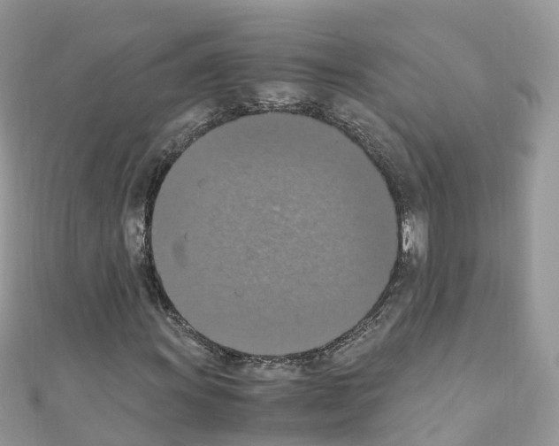 X0000110711011200907241141