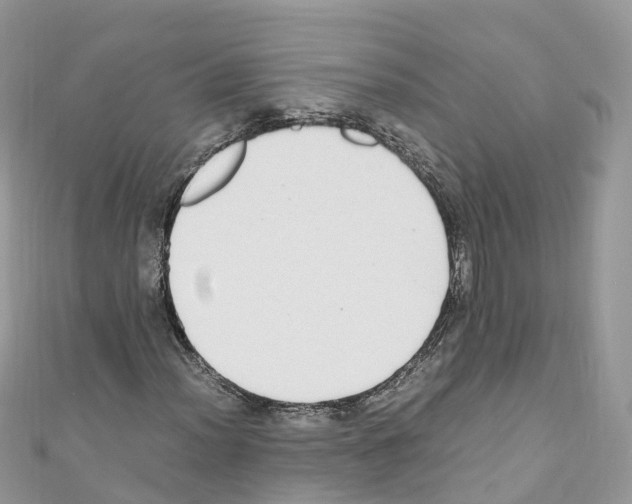 X0000110711012200907241141